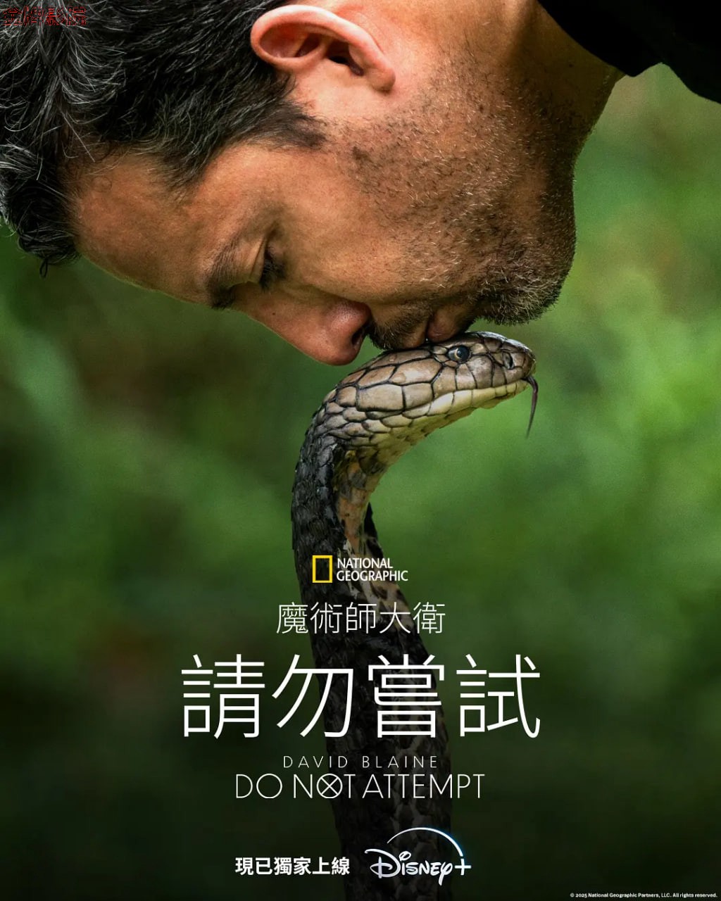 大卫·布雷恩：请勿尝试