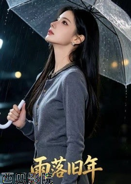 雨落旧年
